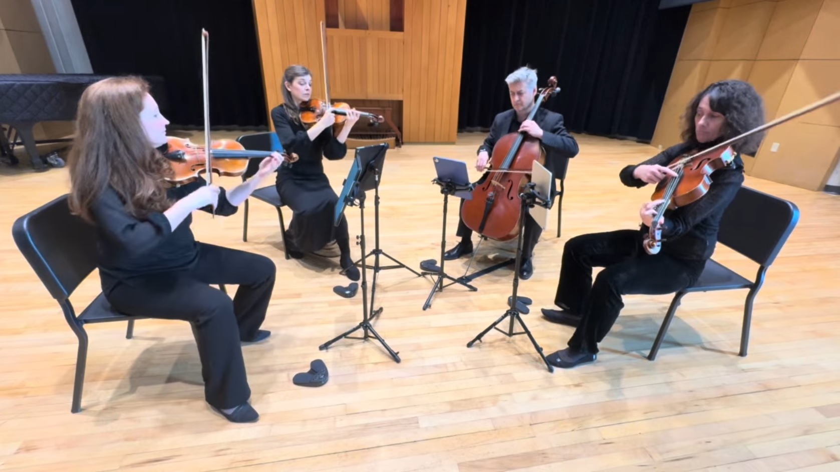 Catamount String Quartet Burlington