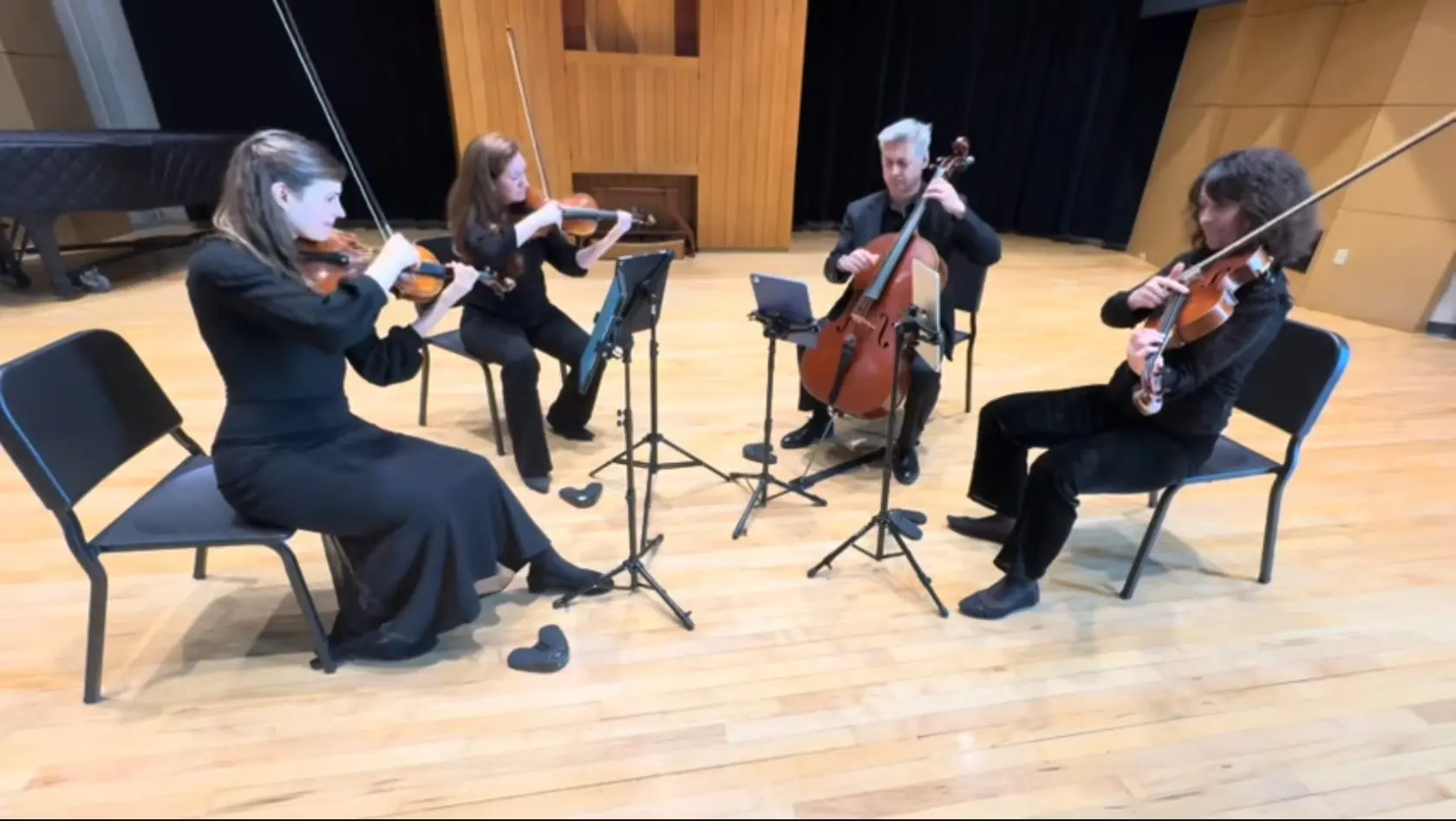 Catamount String Quartet in Burlington